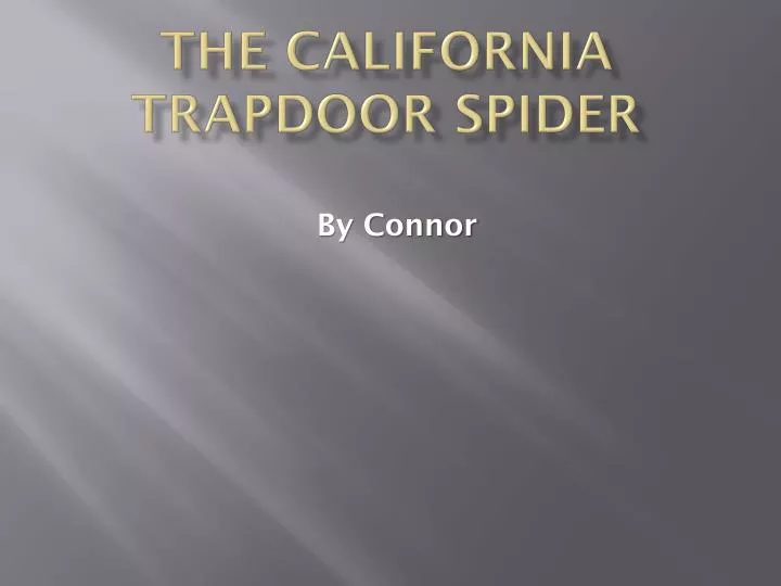 the california trapdoor spider
