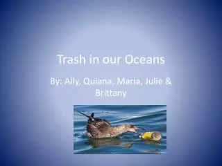 Trash in our Oceans