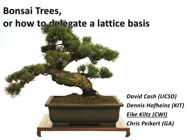 bonsai trees or how to delegate a lattice basis