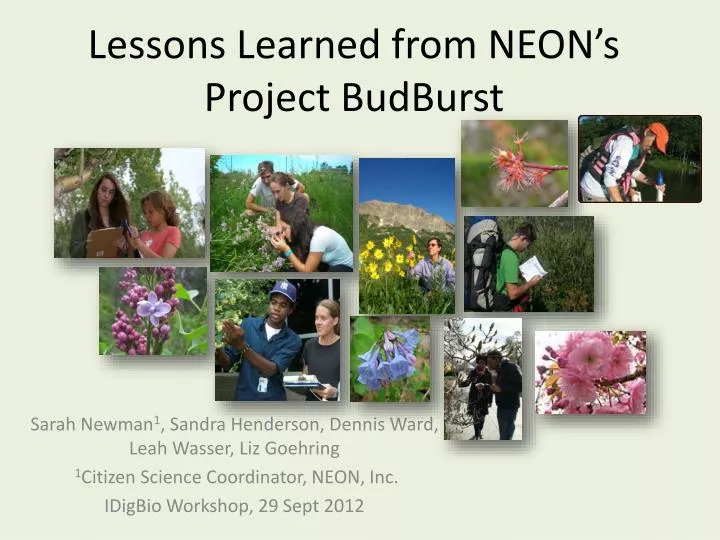 lessons learned from neon s project budburst