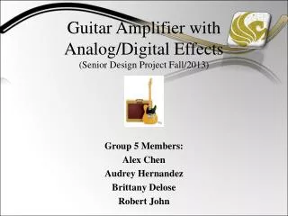 Guitar Amplifier with Analog/Digital Effects (Senior Design Project Fall/2013)