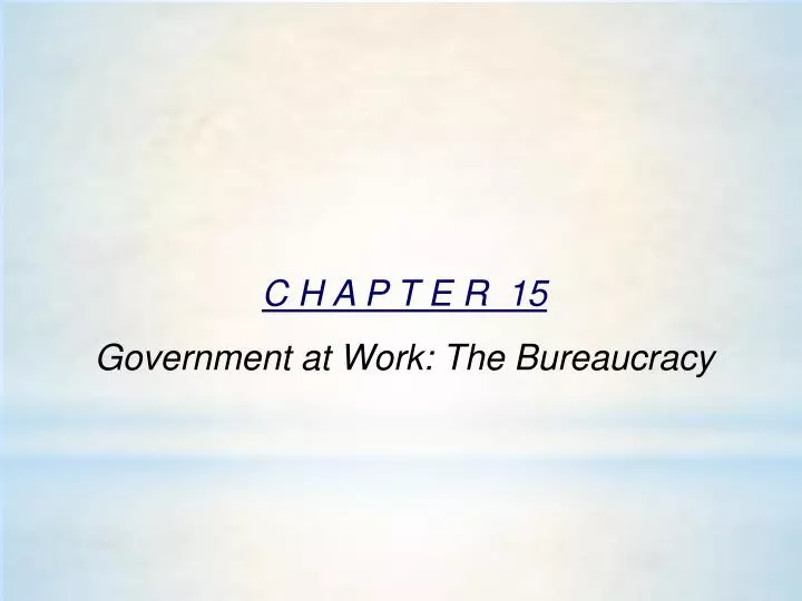 c h a p t e r 15 government at work the bureaucracy