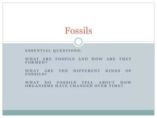 fossils