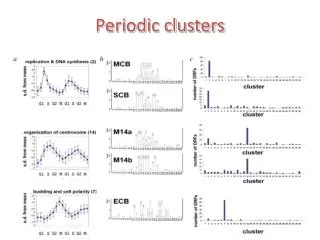 Periodic clusters
