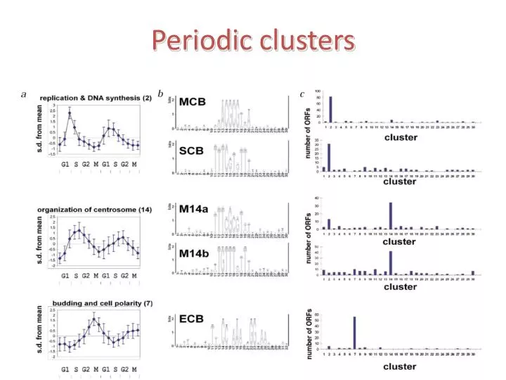 periodic clusters