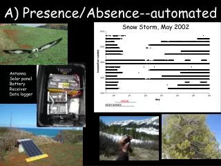 A) Presence/Absence--automated