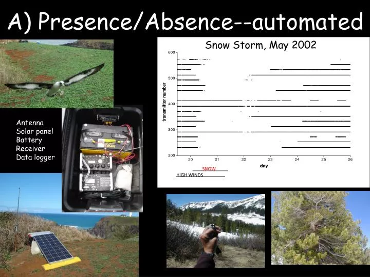 a presence absence automated