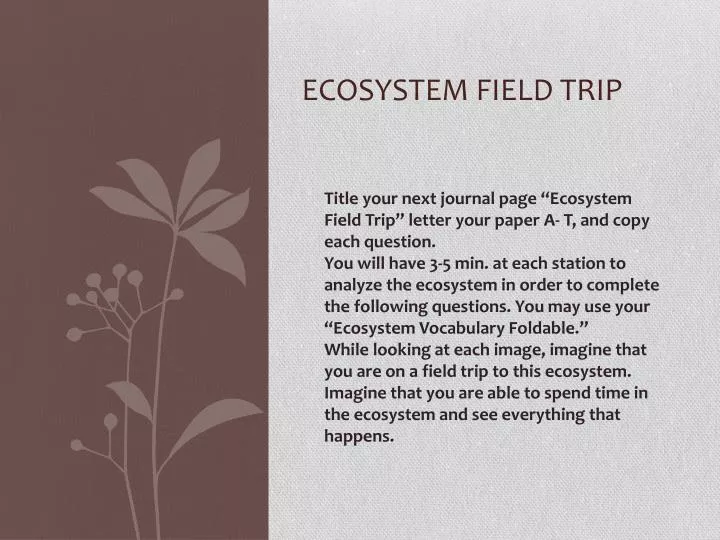 ecosystem field trip