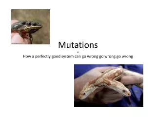 Mutations or How a perfectly good system can go wrong go wrong go wrong