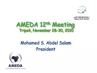 AMEDA 12 th Meeting Tripoli, November 28-30, 2010