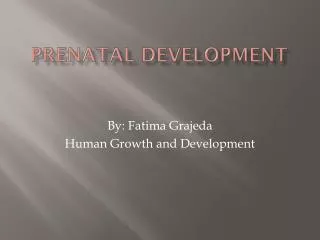 prenatal development