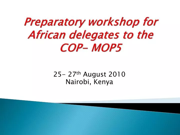 preparatory workshop for african delegates to the cop mop5