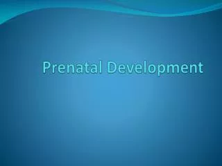 Prenatal Development