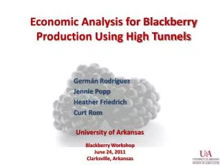 Economic Analysis for Blackberry Production Using High Tunnels