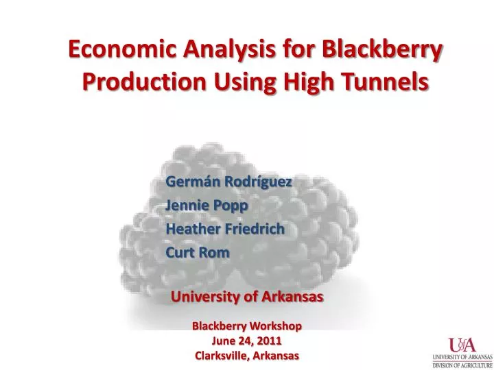 economic analysis for blackberry production using high tunnels