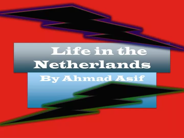 life in the netherlands