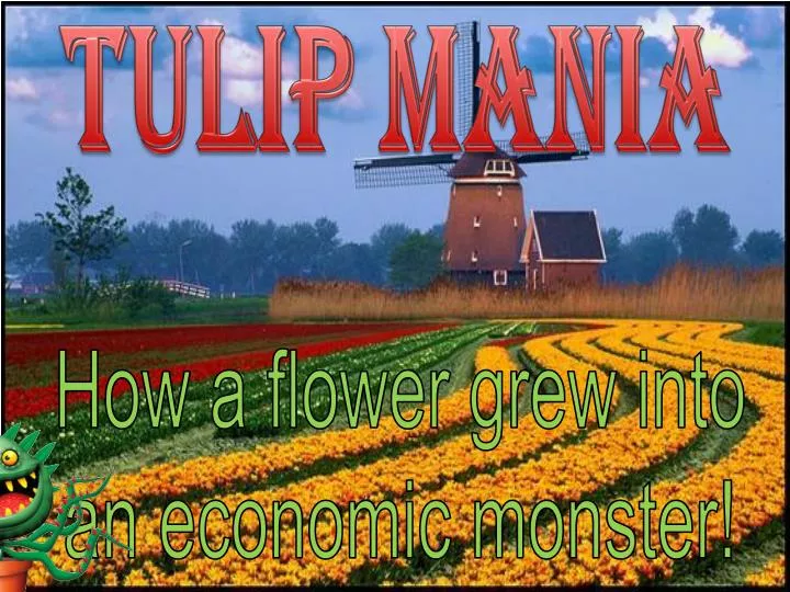 tulip mania