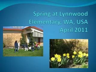 Spring at Lynnwood Elementary, WA, USA April 2011