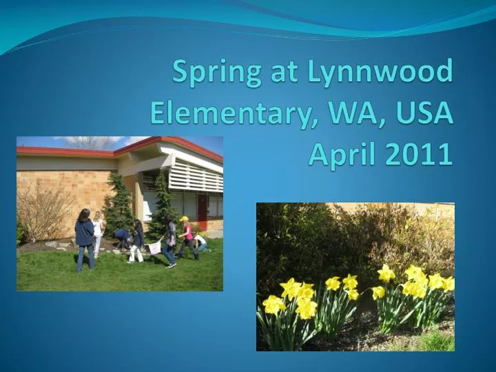 spring at lynnwood elementary wa usa april 2011