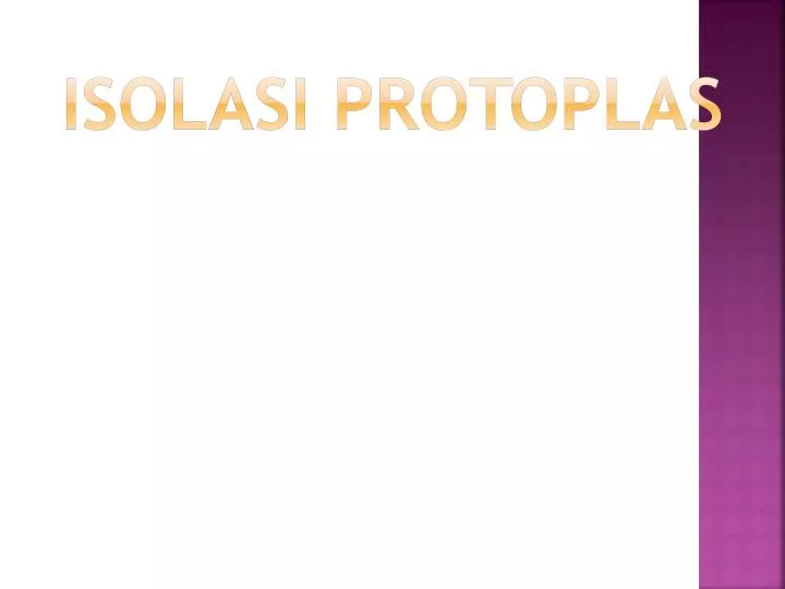 isolasi protoplas