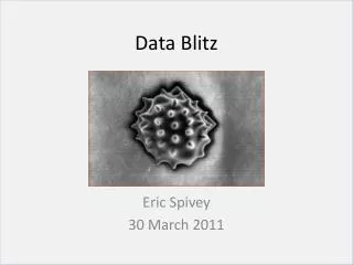 Data Blitz