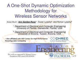 A One-Shot Dynamic Optimization Methodology for Wireless Sensor Networks