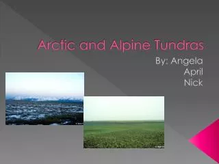 Arctic and Alpine Tundras