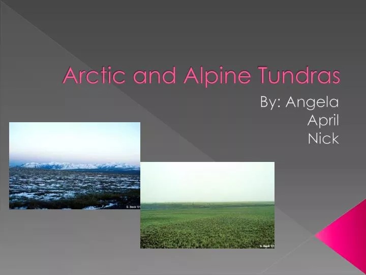 arctic and alpine tundras