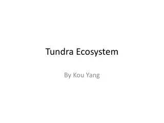 Tundra Ecosystem