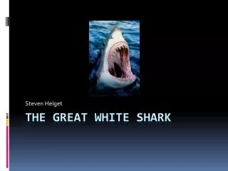 The great white shark