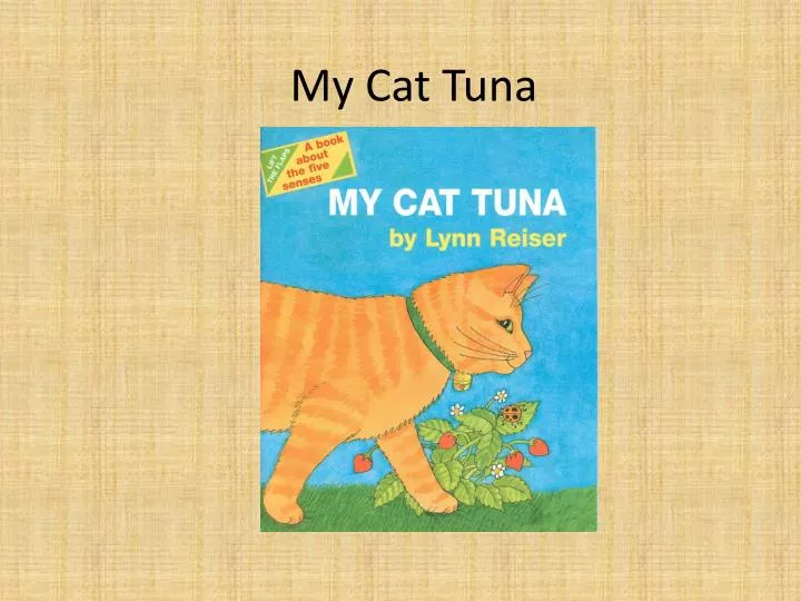 my cat tuna