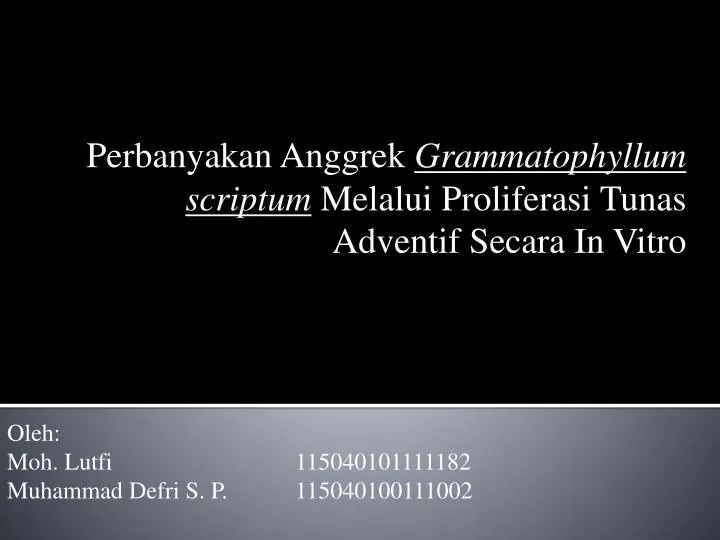 perbanyakan anggrek grammatophyllum scriptum melalui proliferasi tunas adventif secara in vitro