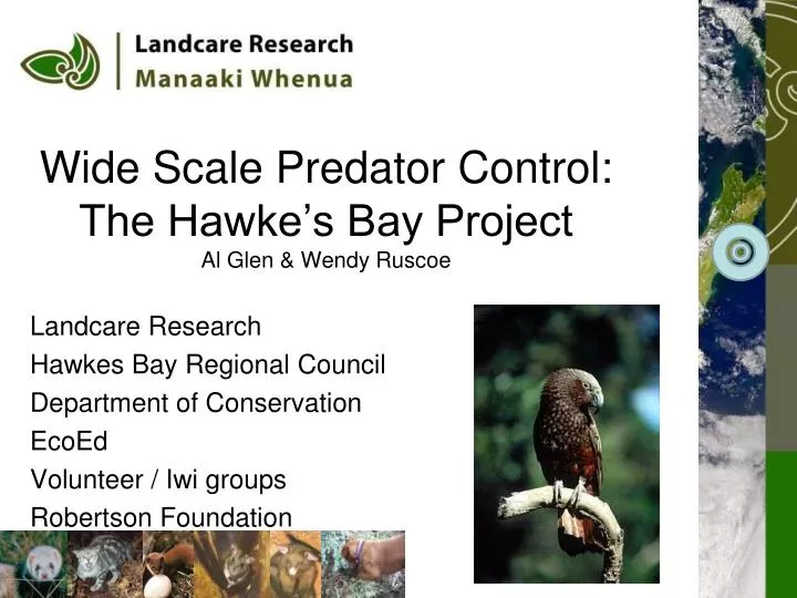 wide scale predator control the hawke s bay project al glen wendy ruscoe