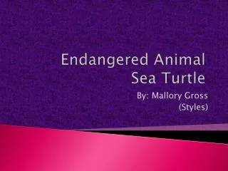 endangered animal sea turtle