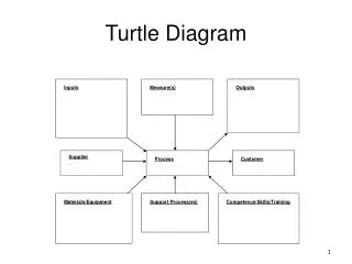 Turtle Diagram