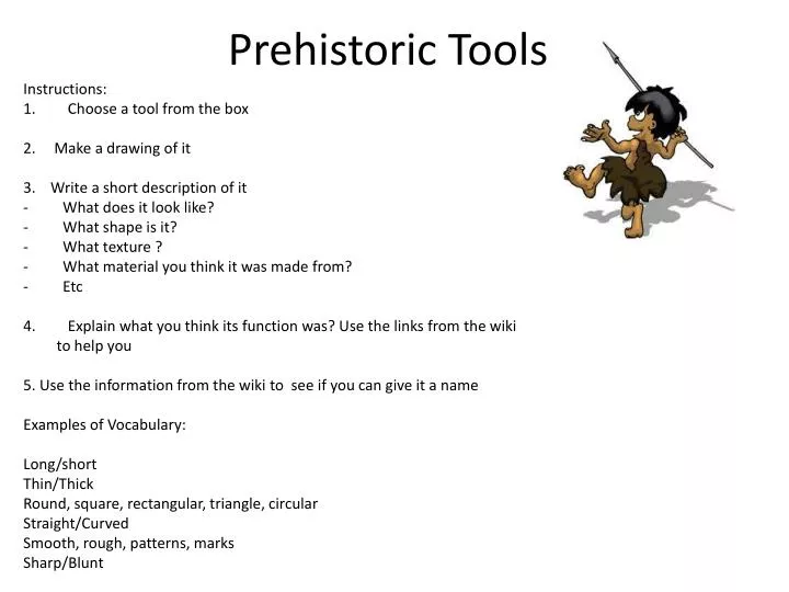 prehistoric tools