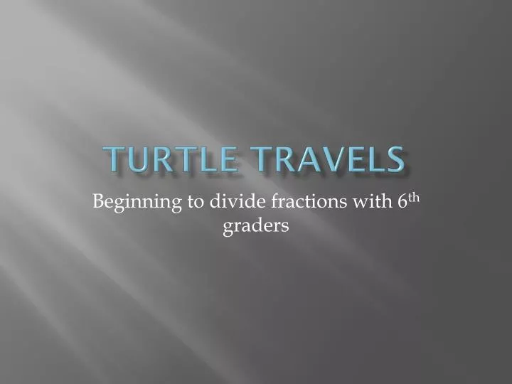 turtle travels