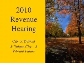 2010 Revenue Hearing