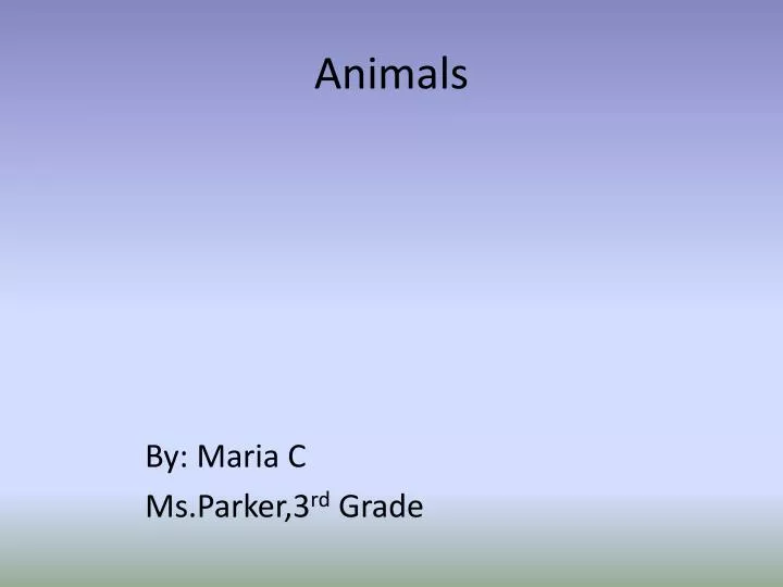 animals