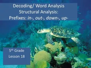 Decoding/ Word Analysis Structural Analysis: Prefixes: in-, out-, down-, up-