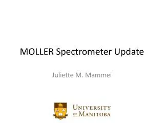 MOLLER Spectrometer Update