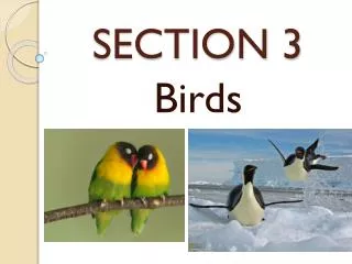 SECTION 3