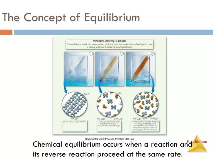 the concept of equilibrium