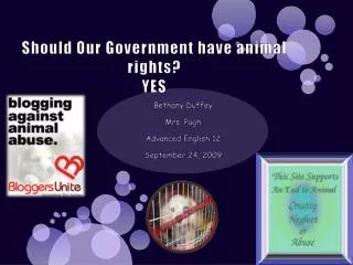 Should Our Government have animal rights? YES