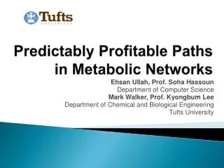 Predictably Profitable Paths in Metabolic Networks