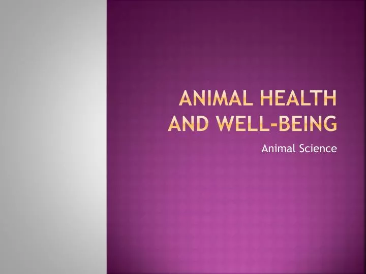 animal health and well being
