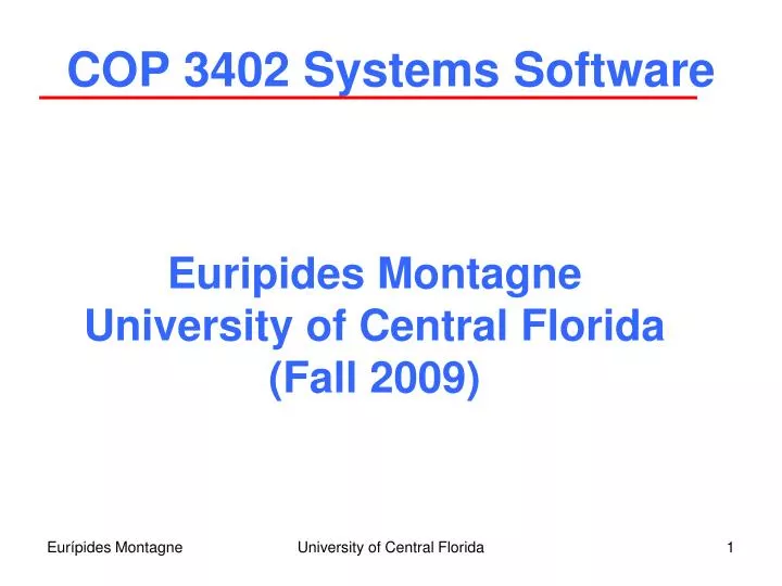 cop 3402 systems software