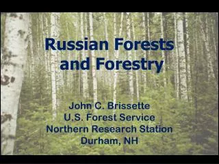 Russian Forests and Forestry