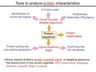 Tools to analyze protein characteristics