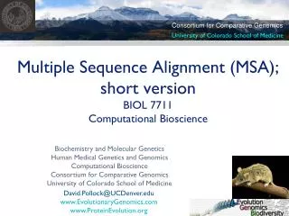 Multiple Sequence Alignment (MSA); short version BIOL 7711 Computational Bioscience